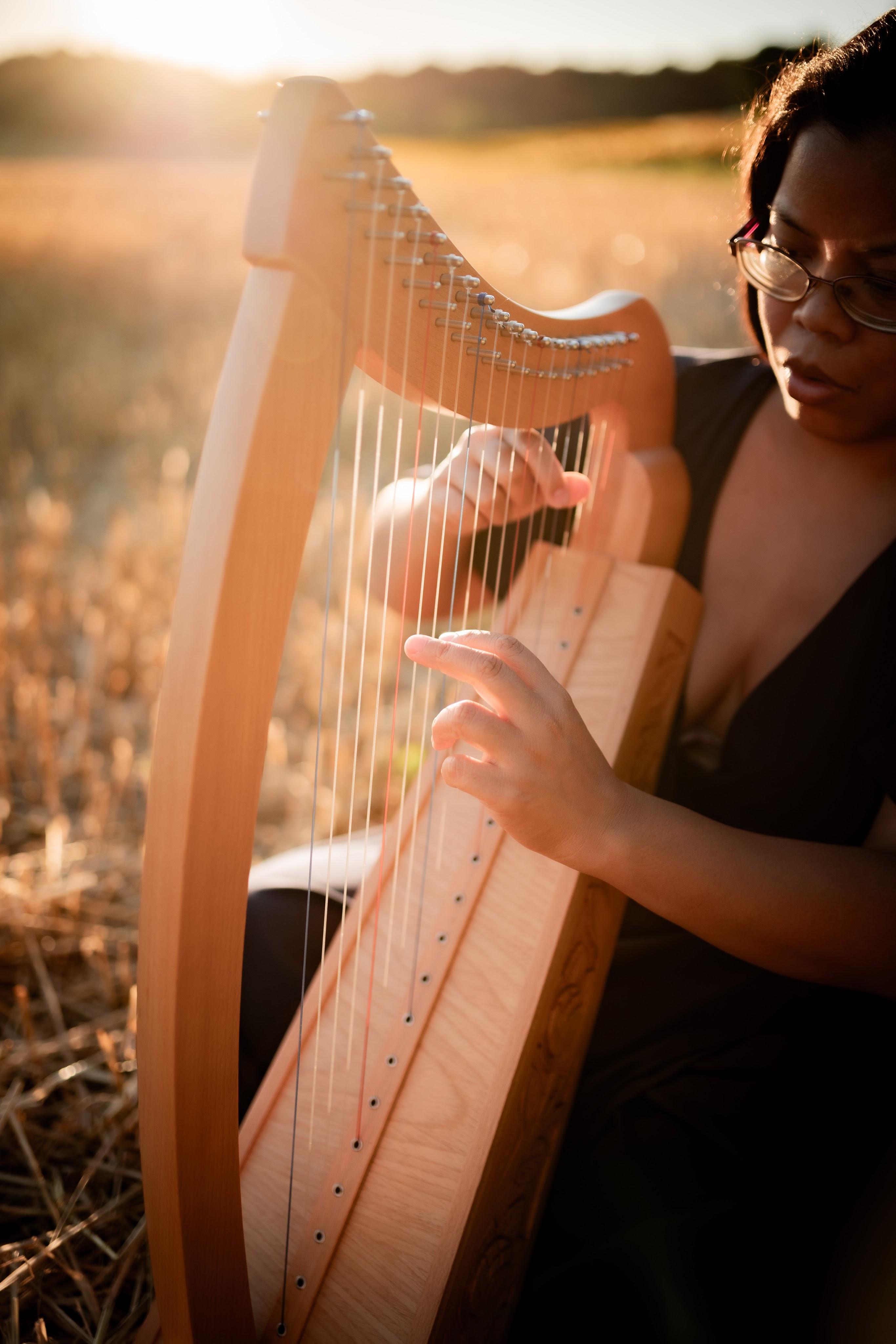 image d'une harpe, gros plan sur les maisn en train de jouer, servant à illustrer les liens transgénérationnels pouvant être soignés grâce aux constellations familiales et systémiques et la thérapie psycho-spirituelle en Suisse 