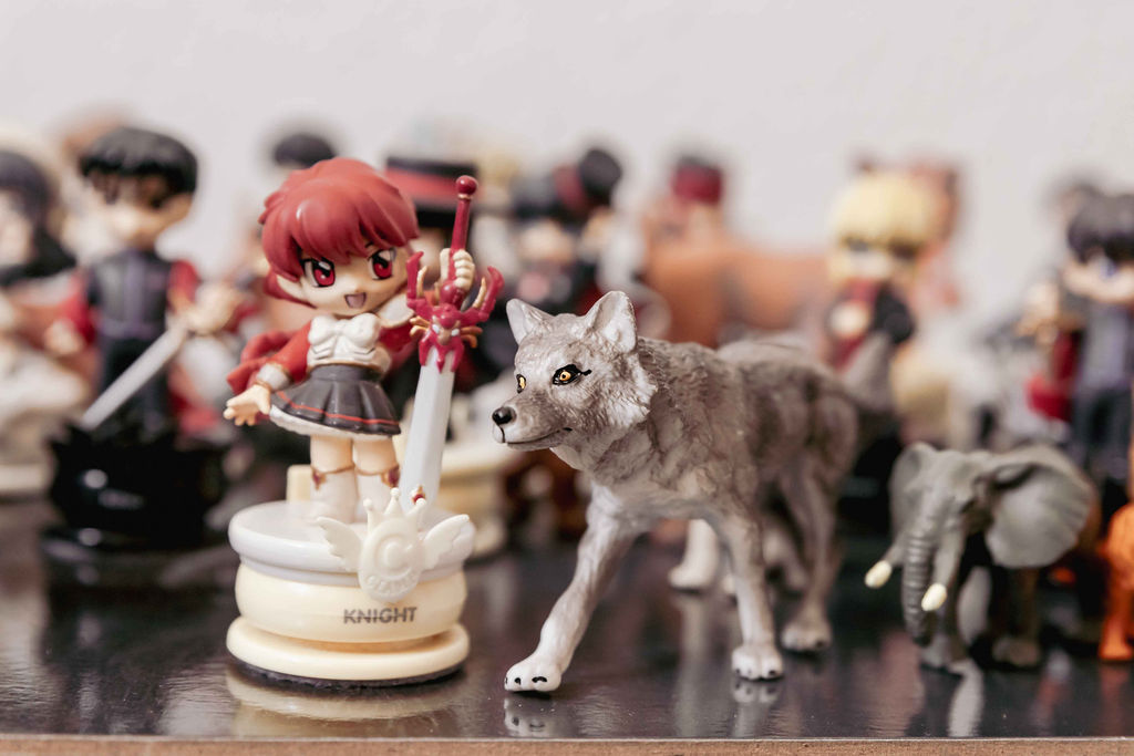 Figurines représentant une guerrière et un loup, utilisées lors d'une séance de constellations familiales et systémiques en Suisse, dans le canton de Vaud, à Morges, près de Renens et Lausanne